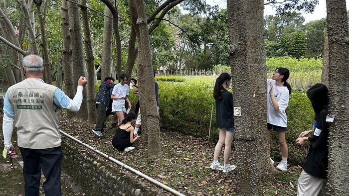 綠動城市—解構城市行道樹生態挑戰工作坊(另開新視窗/jpg檔)圖片